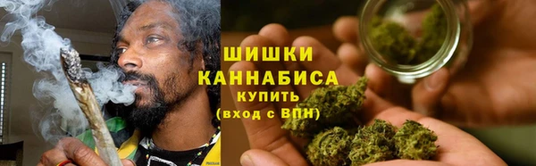 дурь Арсеньев