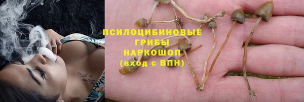 дурь Арсеньев