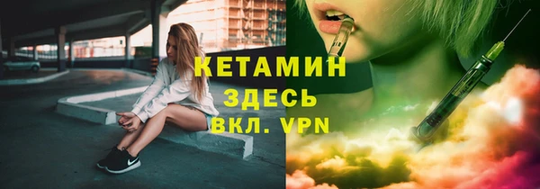 индика Богородицк