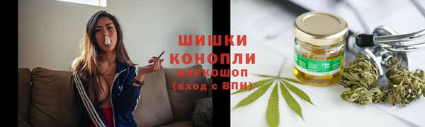 мяу мяу мука Аркадак