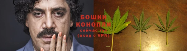дурь Арсеньев