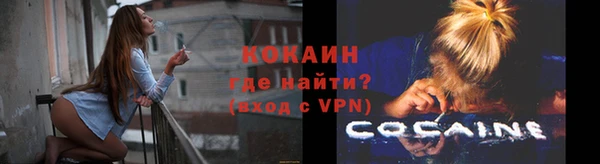 мяу мяу мука Аркадак