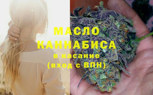 индика Богородицк